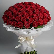 Букет 101 Красная роза Блэк Мэджик в Осташкове