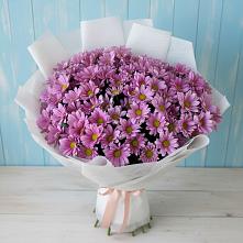 Букет цветов из:  Хризантемы в Осташкове
