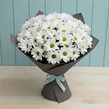 Букет цветов из:  Хризантемы в Осташкове