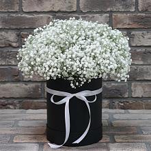 Цветочная композиция из Гипсофила в шляпной коробке в Осташкове