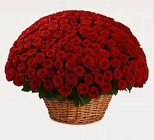 Премиум букет из: Розы в Осташкове