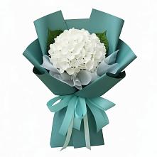 Букет цветов из:  Гортензия в Осташкове